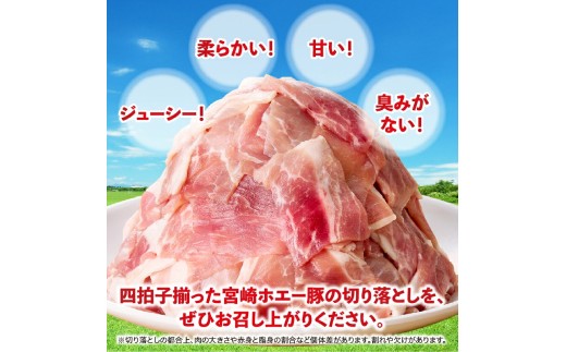 【訳あり】ひなた宮崎ホエー豚 厚切り不揃い切り落とし焼肉 3kg（300g×10P）国産 豚肉 切り落とし 焼肉 やきにく 宮崎 小林市 人気 冷凍
