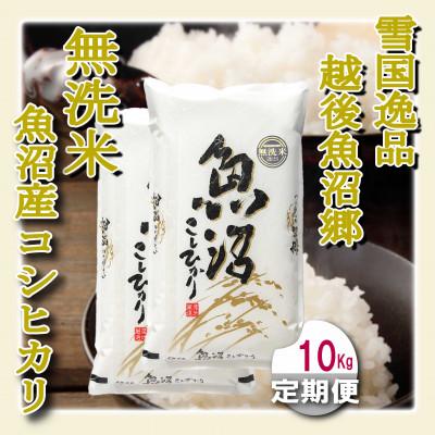 ふるさと納税 魚沼市 【毎月定期便】雪国逸品 《無洗米》10kg　越後魚沼郷 魚沼産コシヒカリ全12回