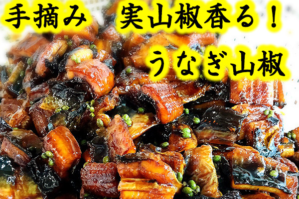 
            【滋賀県産　手摘み　実山椒香る！ 】うなぎ山椒　3個セット【D015W】
          