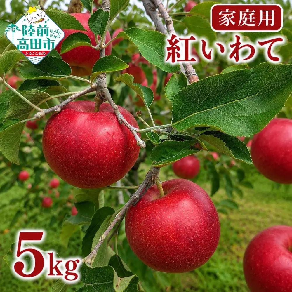 【先行予約】 家庭用りんご 5kg 品種：紅いわて 訳あり りんご