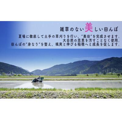 ふるさと納税 若狭町 【令和7年産】福井県若狭町コシヒカリ(1等米)20kg |  | 01