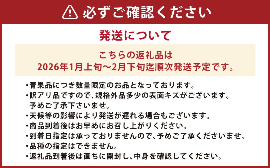 長崎県産 晩生温州みかん 3S～Sサイズ 5kg 小みかん ／ 果物 フルーツ 柑橘 蜜柑 ミカン 温州みかん 晩生 青島 大津 国産 大将農園 長崎県 長崎市 【2026年1月上旬～2月下旬迄発送予