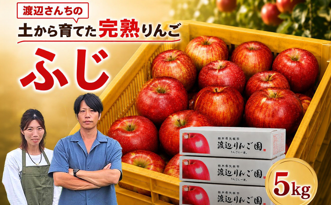 りんご 完熟 ふじ 5kg 箱｜【11月下旬より順次お届け】リンゴ 林檎 フルーツ 果物 栃木県矢板市産