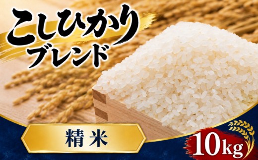 精米 10kg こしひかりブレンド コシヒカリ 彩のきずな 令和7年産 5kg × 2袋 選べる 米 お米 白米 こめ ライス ごはん ご飯 コメ kome okome ブランド米 人気 おすすめ 10キロ 10ｷﾛ 産地直送 白飯 飯 お弁当 おにぎり 食品 お手軽 便利  関東 国産 有限会社五月女米穀 埼玉県 羽生市