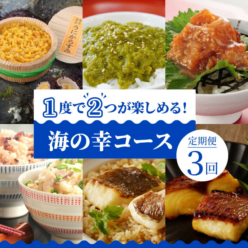 【ふるさと納税】定期便 3回 海の幸 コース うに からすみ 生めかぶ 真鯛 天然 養殖 珍味 切り身 西京漬け 鯛めし たこめし 沖めし 隔月配送 素 海鮮 新鮮 天草 満喫 グルメ 海鮮 新鮮 熊本県 お取り寄せグルメ 送料無料