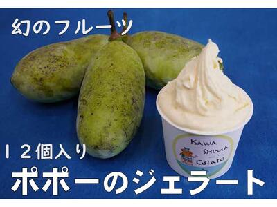 川島ジェラート　かわしまポポー（１２個１箱セット）