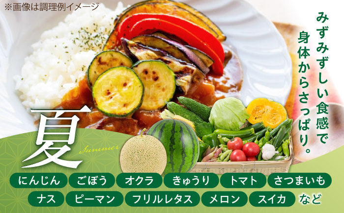 【全6回定期便】【数量限定】菊陽町特産品 「野菜・果物などの詰め合わせ」 / 新鮮 詰合せ フルーツ セット 旬 おまかせ にんじん 直売所 やさい くだもの 熊本県 特産品 菊陽町【有限会社さんふれ