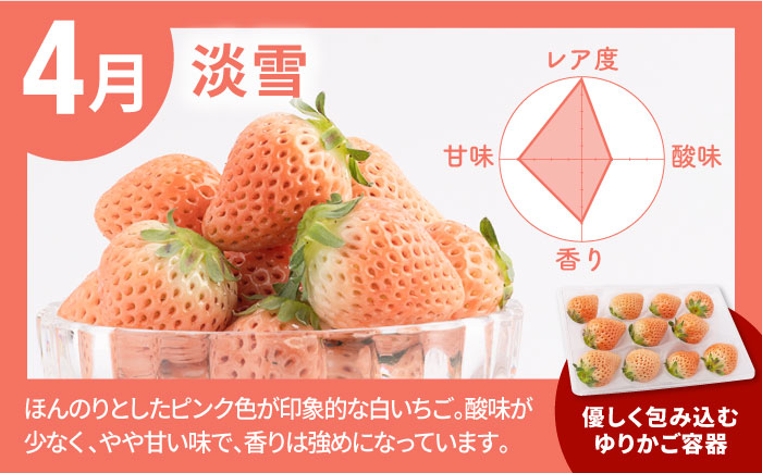 【R8年3月以降発送】【全4回定期便】産地直送！白石町産 いちごと牛肉の定期便 [IZZ019]