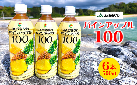 パインアップル100（PET500ml）6本セット パイナップル
