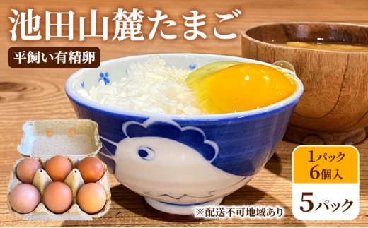 池田山麓たまご（平飼い有精卵）5パック（1パック6個入） 卵 セット 有精卵 岐阜県 池田町