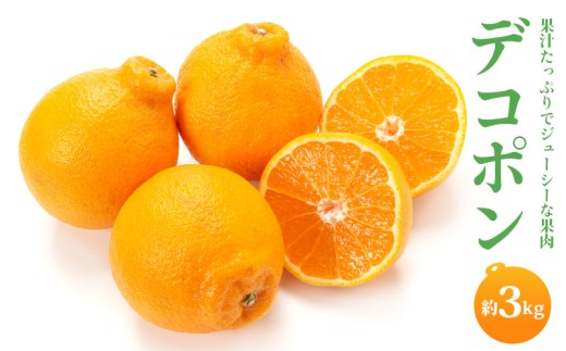 【2026年3月中旬から発送】デコポン(L～2L) 3kg でこぽん みかん 蜜柑 ミカン 柑橘 果物 くだもの 果実 フルーツ 旬 旬の果物 デザート スイーツ おやつ ゼリー ジュース 人気果物 人気フルーツ ランキング 香川 丸亀