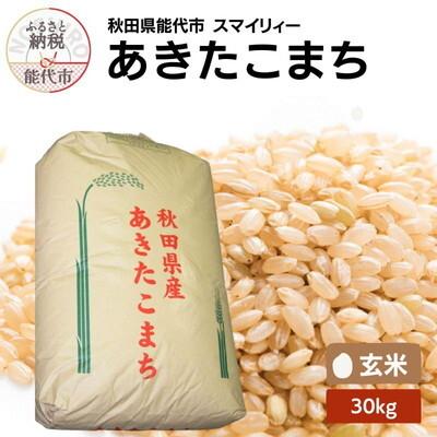 ふるさと納税 能代市 令和7年産 あきたこまち 玄米30kg スマイリィー[No.5335-1194]