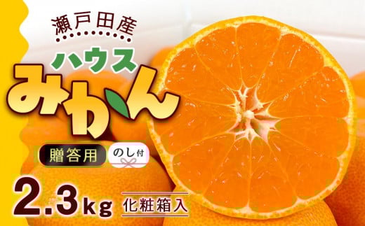 【のし付き】瀬戸田産ハウスみかん（贈答用）約2.3キロ 化粧箱 贈り物 ギフトドルチェみかん フルーツ 柑橘 果物 産直