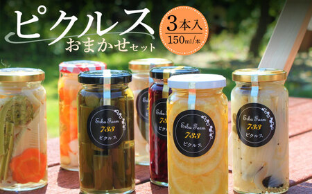 【農家のこだわり野菜使用】おまかせ ピクルス 3本【ERBA　FARM733】 ピクルス ピクルス ピクルス ピクルス 築上町 [ABAP001]