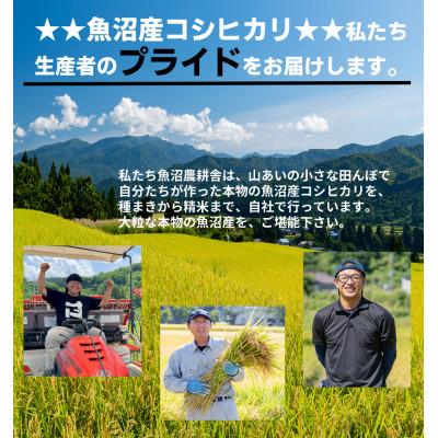 ふるさと納税 魚沼市 【3ヵ月毎定期便】米農家自慢の特別栽培米 魚沼産 コシヒカリ(精米) 5kg×1袋全4回 |  | 01