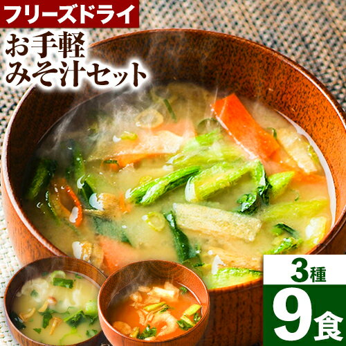 【ふるさと納税】お手軽 みそ汁セット 3種 9食入 有限会社農悠舎《90日以内に出荷予定(土日祝除く)》 和歌山県 紀の川市 フリーズドライ 保存料不使用 味噌汁 お味噌汁 ミソ汁 キャベツ 小松菜 なめこ にんじん ごぼう 野菜 簡単 お湯を注ぐだけ お手軽 食べ比べ 送料無料
