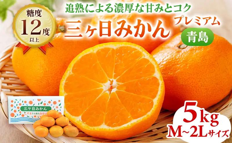 みかん 三ヶ日 プレミアム 青島 5kg 蜜柑 フルーツ 浜松 みかん