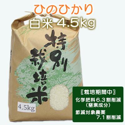 ふるさと納税 諫早市 【令和7年産】特別栽培米・九州のこだわり米「ひのひかり」白米4.5kg