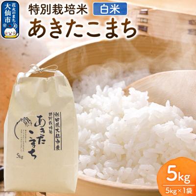 ふるさと納税 大仙市 米 特別栽培米 あきたこまち【精白米】5kg×1袋産|22_rsm-220101