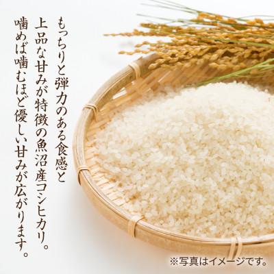 ふるさと納税 十日町市 【令和7年産 新米予約】魚沼産 コシヒカリ 10kg 精米 新潟県 十日町市 仁田地区限定 |  | 01