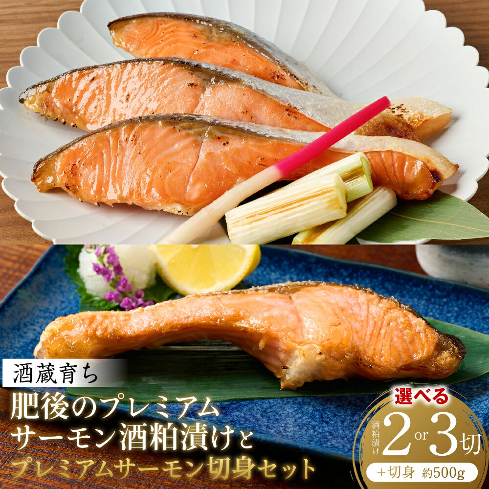 【ふるさと納税】酒蔵育ち 肥後のプレミアムサーモン 酒粕漬け 2切～3切×1パック と プレミアムサーモン切身 約500g セット 【選べる内容量】 サーモントラウト 銀鮭 酒粕漬け 酒粕 赤酒 切身 切り身 和食 魚 おかず 熊本県 八代市 送料無料