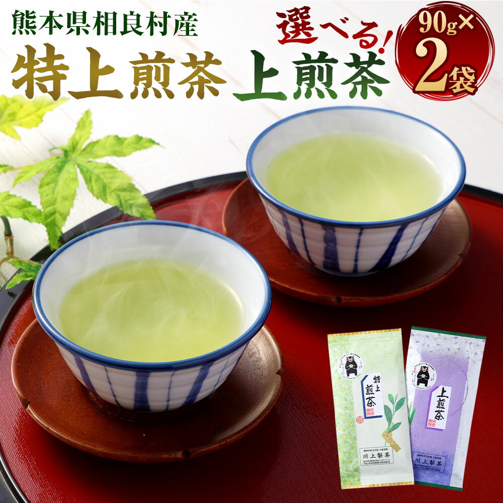 【ふるさと納税】＜選べる セット＞熊本県相良村産 特上煎茶 上煎茶 2袋セット 1袋あたり90g 計180g 緑茶 日本茶 お茶 茶葉 煎茶 九州産 熊本県産 国産 茶 相良村産 レターパックプラス 送料無料