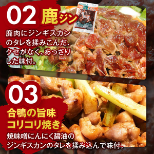 ジビエ 猪 鹿 鳥 セット | ジビエ 肉 ジンギス イノシシ シカ 鳥 合鴨 味付 焼肉 長野県 飯田市 信州