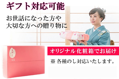 「母の日」(一粒庵) 一膳ごはん16種詰合せ 125g×16(合計2kg) 簡単調理 玄米 おこわ