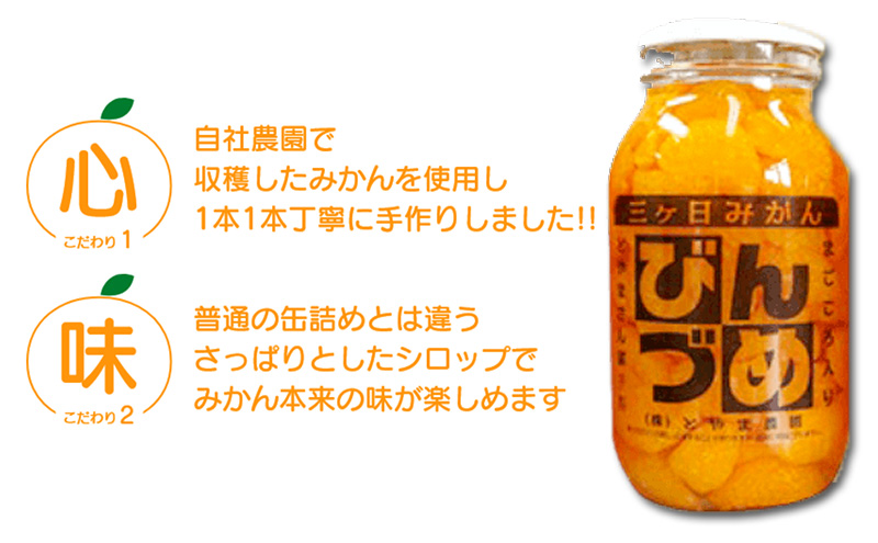三ヶ日みかん みかんのびん詰詰め合わせ2本セット（900g×2
