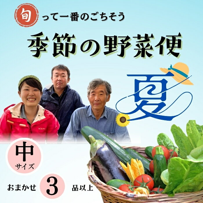 【ふるさと納税】【先行予約】～旬っていちばんのごちそう～ひぐらし農場 季節の野菜便（夏）中サイズ（7-A35） ＜出荷開始：2025年7月中旬から9月下旬ごろまで＞【 野菜 長野県 飯山市 美味しい おいしい お取り寄せ 出産祝い 記念日 誕生日 敬老の日 旬の野菜 セット】