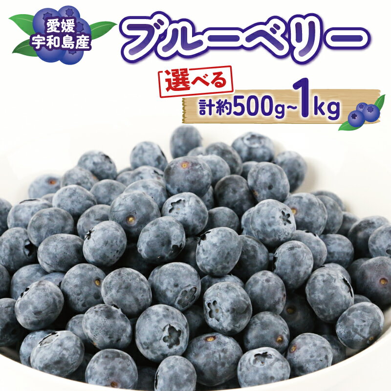 【ふるさと納税】 ブルーベリー 大粒 選べる 容量 500g ( 100g × 5パック ) ~ 1kg ( 500g × 2パック ) マスタニ農園 ハウス栽培 生ブルーベリー 小分け パック 生 ベリー 果物 フルーツ デザート スイーツ ポリフェノール 冷蔵 農家直送 産地直送 数量限定 国産