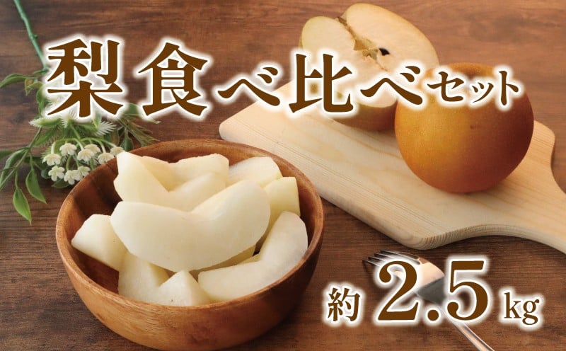 
            【2026年先行予約】 梨 食べ比べセット 約 2.5kg 秀品 千葉県産 ミックス 2種以上 豊水 あきづき 新高 秋麗 秀玉 等 品種おまかせ 詰め合わせ 食べ比べ 和梨 なし 果物 くだもの フルーツ 2026 国産 千葉 千葉産 厳選 贈答 贈り物 ふるさと納税 送料無料 千葉県 旭市 齋藤園 ste006
          