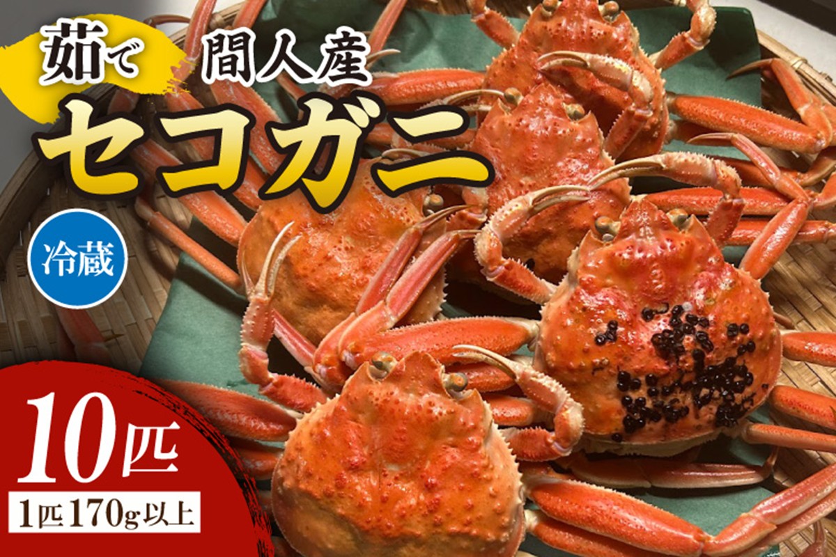 間人漁港仲買人の丸友鮮魚三代目・自慢の間人産セコガニ≪茹で≫10匹セット（1匹170g以上）　MG00004