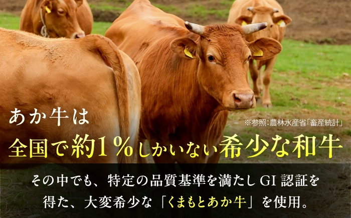 菊陽町 あかうし 熊本県 肉 にく niku ブランド 旨み くまもとあか牛 和牛 阿蘇 自然 自社牧場 直接 最高 定期便