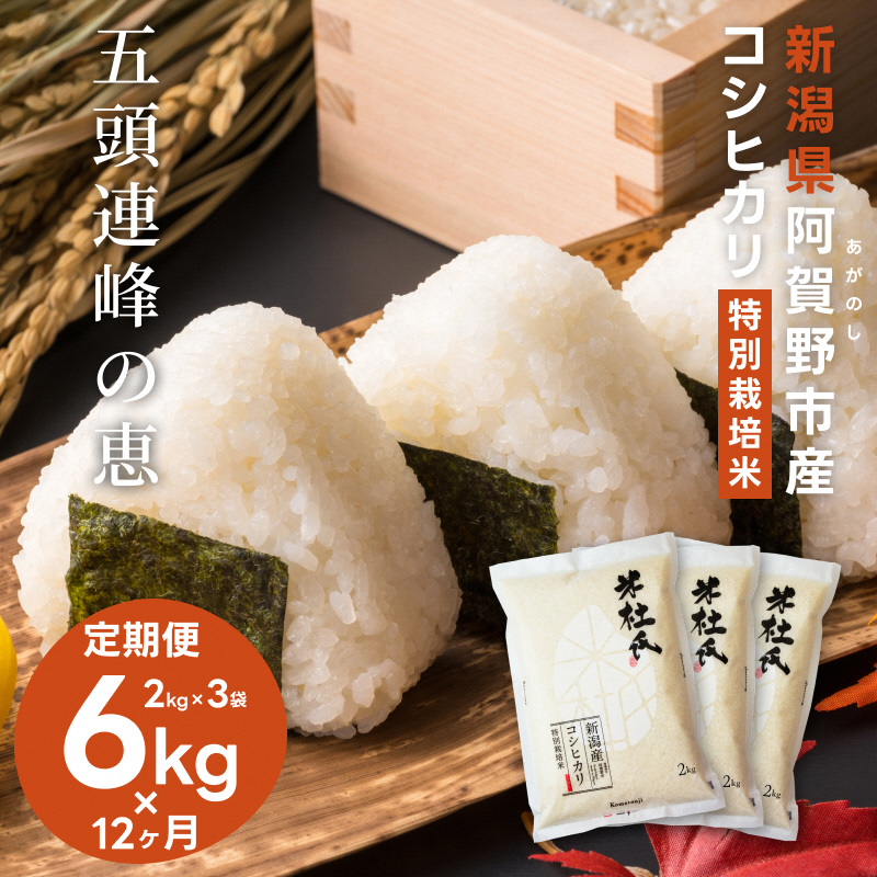 【新米】【12ヶ月定期便】新潟産 コシヒカリ 特別栽培米 6kg (2kg×3)×12回 米杜氏 壱成 白米 精米 1H40157