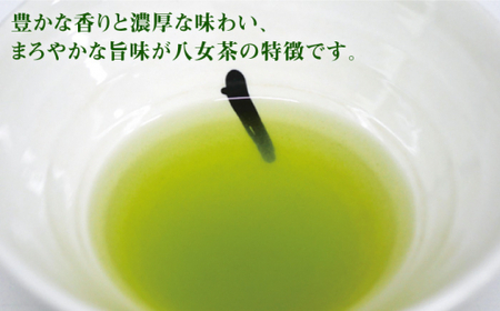 八女茶 6袋セット(計600g)＜お茶の星陽園＞那珂川市 お茶 緑茶 茶葉  14000 14000円 [GAD001]