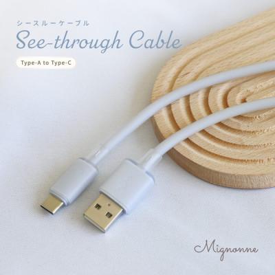 ふるさと納税 海老名市 USB Type-A to USB Type-C シリコンケーブル 1.2m ベイビーブルー