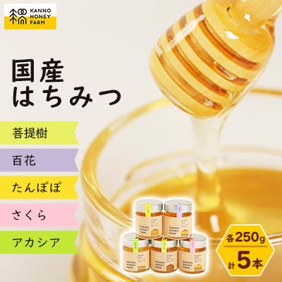 ふるさと納税 訓子府町 菅野養蜂場　国産はちみつ250g　5種類欲張りセット