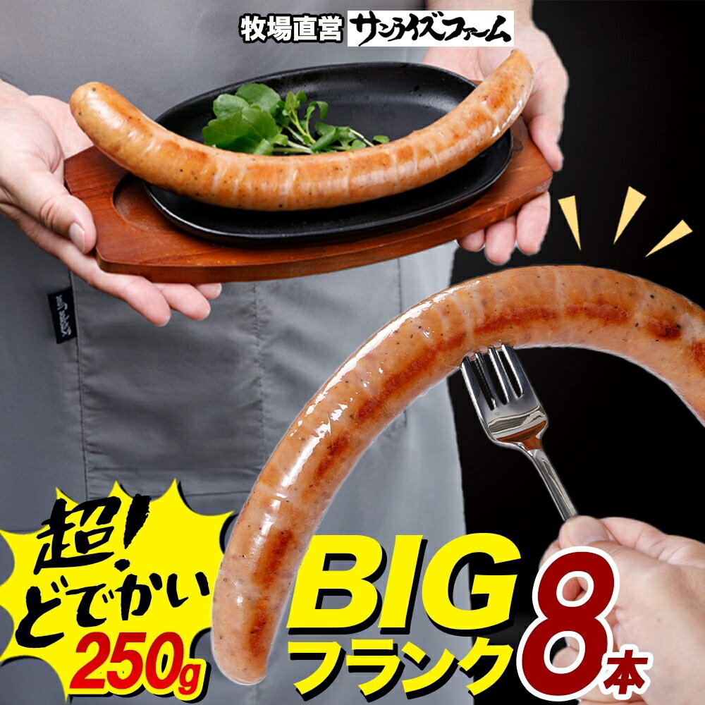 【ふるさと納税】 BIGバリューフランク 8本セット 25cm 豚肉 フランクフルト ウィンナー ビッグサイズ 大きい 肉厚 ジューシー 夕食 ご飯 おかず おつまみ バーベキュー BBQ 送料無料 サンライズファーム 千葉県 香取市 SRF003