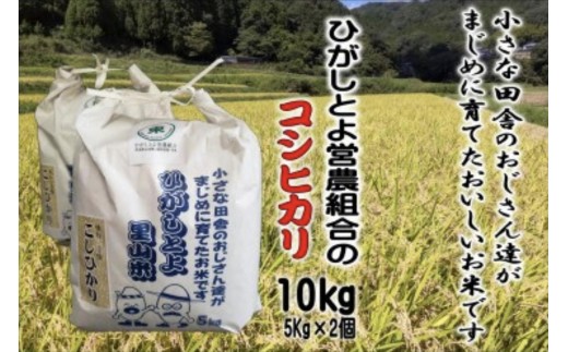 【令和8年産】ひがしとよ里山米 精米10kg(5kg×2袋)【数量限定先行予約受付】
