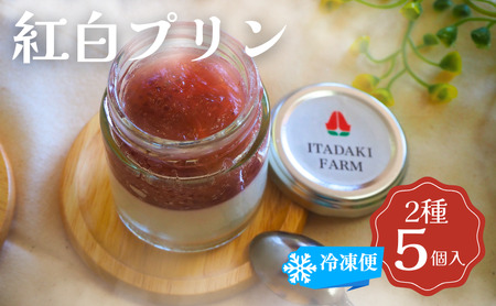 プリン 紅白プリン いちご 白いちご プリン【5個】【冷凍】