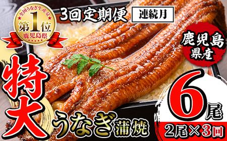 i1172-A ＜定期便・計3回(連続月)＞＼特大サイズ／鹿児島県産 うなぎ蒲焼 2尾セット＜（約220g×2・計約440g）×全3回＞ 定期便 たれ 山椒付きうなぎ 鰻 ウナギ 特大 特大サイズ 約220g 蒲焼き 国産 鹿児島県産 焼きたて 生産量日本一 真空パック おかず 晩御飯 特別な日 土用の丑の日 【薩摩川内鰻】