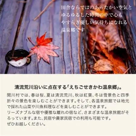 選ばれる温泉体験 45,000円分の温泉宿泊利用券【1711729】