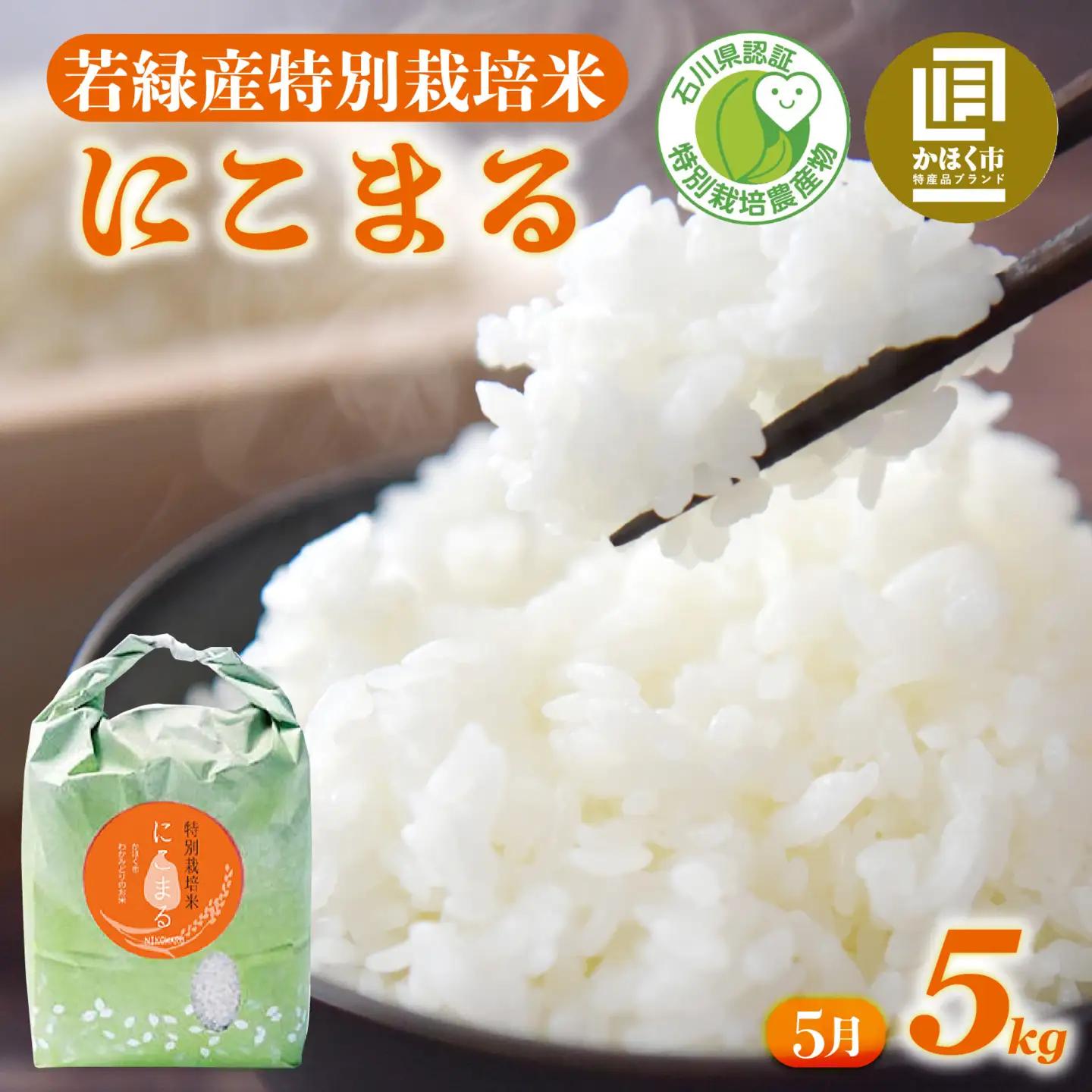 【令和7年産】 にこまる 5kg 【5月配送】 |  にこまる 白米