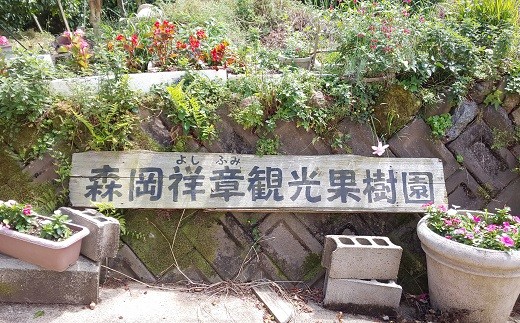森岡祥章観光農園さん