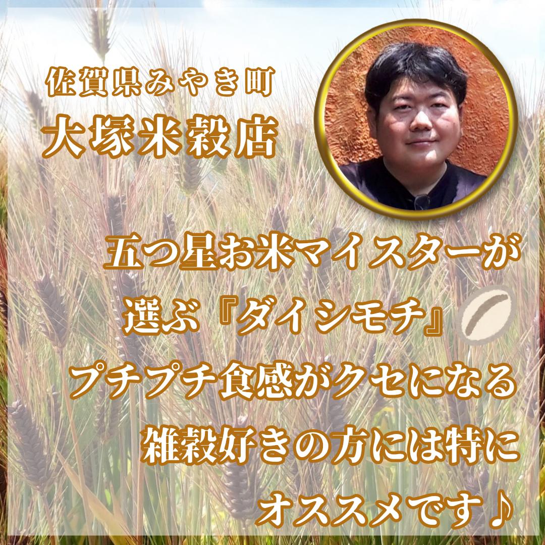 CIB41_【１０回定期便】ダイシモチ２ｋｇ もち麦 キラリ もち麦ごはん