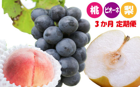 【定期便】【3か月】和歌山産フルーツ定期便！人気の 桃 梨 ピオーネ【tkb114】