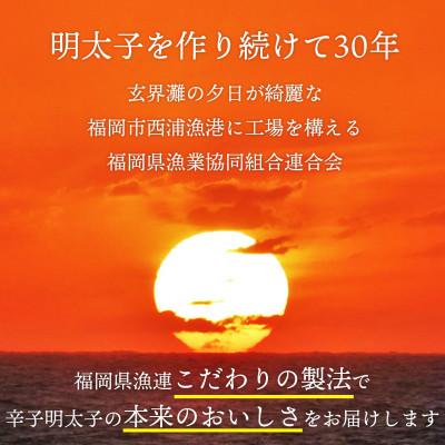 ふるさと納税 福岡市 訳あり 辛子明太子 500g×2パック(1kg)(福岡市)WS024 |  | 02