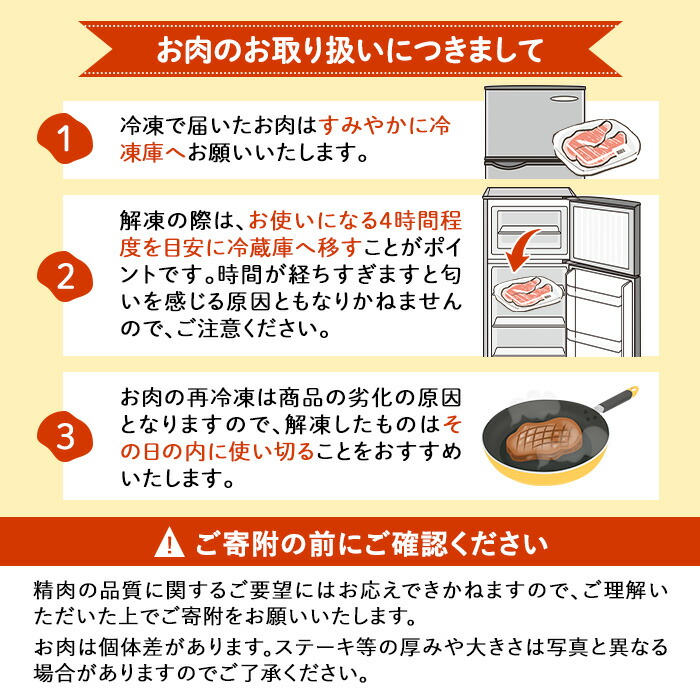鹿児島県産 黒毛和牛100％！手ごねハンバーグ 1.2kg (100g×12個） 黒毛和牛 和牛 肉 牛肉 牛100% 国産 手ごね ハンバーグ 100% 小分け 惣菜  a0-406
