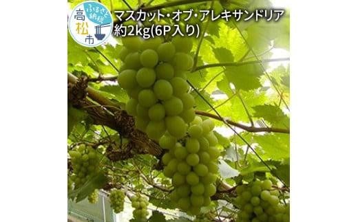 マスカット・オブ・アレキサンドリア　約2kg(6P入り)【2025-8月上旬～2025-9月中旬配送】